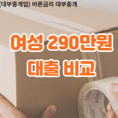 여성 월변290만원대출 소액290만원대출 개인돈290만원 비대면290만원