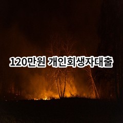 120만원 개인회생자대출 급전 당일 소액 일수 월변