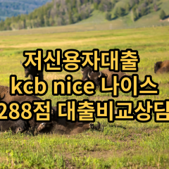 저신용자대출 kcb288점 저신용소액대출 nice288점 저신용비대면대출 나이스288점 신용대출비교상담