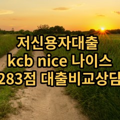 저신용자대출 kcb283점 저신용소액대출 nice283점 저신용비대면대출 나이스283점 신용대출비교상담