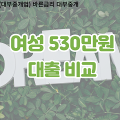 여성 월변530만원대출 소액530만원대출 개인돈530만원 비대면530만원