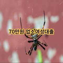 70만원 업소여성대출 급전 당일 소액 일수 월변