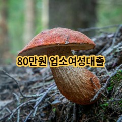 80만원 업소여성대출 급전 당일 소액 일수 월변