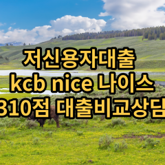 저신용자대출 kcb310점 저신용소액대출 nice310점 저신용비대면대출 나이스310점 신용대출비교상담