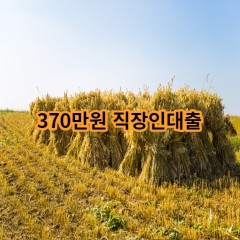 370만원 직장인대출 급전 당일 소액 일수 월변