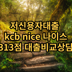 저신용자대출 kcb313점 저신용소액대출 nice313점 저신용비대면대출 나이스313점 신용대출비교상담