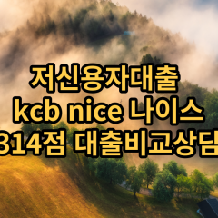 저신용자대출 kcb314점 저신용소액대출 nice314점 저신용비대면대출 나이스314점 신용대출비교상담