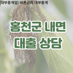 내면대부업체 내면비대면대출 홍천군대부업체개인돈 내면월변대부대출 내면소액대부업체