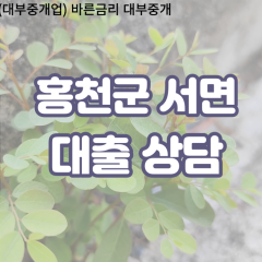 서면대부업체 서면비대면대출 홍천군대부업체개인돈 서면월변대부대출 서면소액대부업체