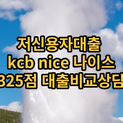 저신용자대출 kcb325점 저신용소액대출 nice325점 저신용비대면대출 나이스325점 신용대출비교상담