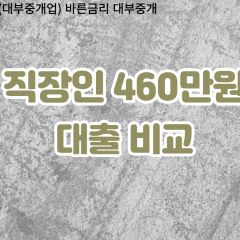 직장인 월변460만원대출 소액460만원대출 개인돈460만원 비대면460만원