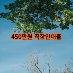 450만원 직장인대출 급전 당일 소액 일수 월변