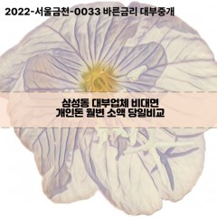 삼성동대부업체 삼성동비대면대출 대부업체개인돈 삼성동월변대부대출 삼성동소액대부업체