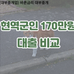 현역군인 비대면170만원대출 개인돈170만원대출 소액170만원 월변170만원