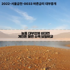 능동대부대출 능동비대면대출 광진구대부업체개인돈 능동월변대부업체 능동소액월변대출