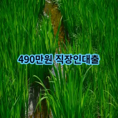 490만원 직장인대출 급전 당일 소액 일수 월변