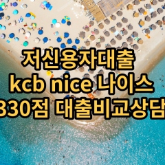 저신용자대출 kcb330점 저신용소액대출 nice330점 저신용비대면대출 나이스330점 신용대출비교상담