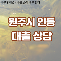 인동대부업체 인동비대면대출 원주시대부업체개인돈 인동월변대부대출 인동소액대부업체