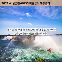 내유동대부대출 내유동비대면대출 고양시덕양구대부업체개인돈 내유동월변대부업체 내유동소액월변대출