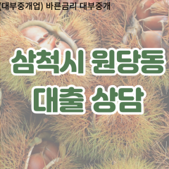 원당동대부업체 원당동비대면대출 삼척시대부업체개인돈 원당동월변대부대출 원당동소액대부업체