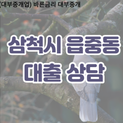 읍중동대부업체 읍중동비대면대출 삼척시대부업체개인돈 읍중동월변대부대출 읍중동소액대부업체