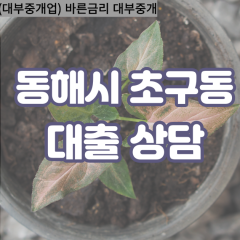 초구동대부업체 초구동비대면대출 동해시대부업체개인돈 초구동월변대부대출 초구동소액대부업체