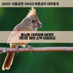 풍납동대부대출 풍납동비대면대출 송파구대부업체개인돈 풍납동월변대부업체 풍납동소액월변대출