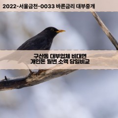 구산동대부대출 구산동비대면대출 은평구대부업체개인돈 구산동월변대부업체 구산동소액월변대출