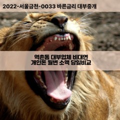 역촌동대부대출 역촌동비대면대출 은평구대부업체개인돈 역촌동월변대부업체 역촌동소액월변대출