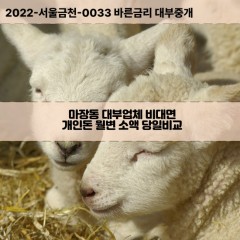 마장동대부대출 마장동비대면대출 성동구대부업체개인돈 마장동월변대부업체 마장동소액월변대출