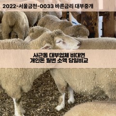 사근동대부대출 사근동비대면대출 성동구대부업체개인돈 사근동월변대부업체 사근동소액월변대출