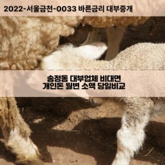 송정동대부대출 송정동비대면대출 성동구대부업체개인돈 송정동월변대부업체 송정동소액월변대출