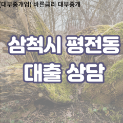 평전동대부업체 평전동비대면대출 삼척시대부업체개인돈 평전동월변대부대출 평전동소액대부업체