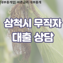 가곡면대부업체 근덕면비대면대출 삼척시대부업체개인돈 노곡면월변대부대출 도계읍소액대부업체