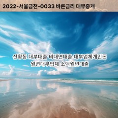 산황동대부대출 산황동비대면대출 고양시일산동구대부업체개인돈 산황동월변대부업체 산황동소액월변대출