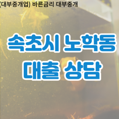 노학동대부업체 노학동비대면대출 속초시대부업체개인돈 노학동월변대부대출 노학동소액대부업체