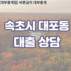 대포동대부업체 대포동비대면대출 속초시대부업체개인돈 대포동월변대부대출 대포동소액대부업체