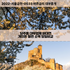 당주동대부대출 당주동비대면대출 종로구대부업체개인돈 당주동월변대부업체 당주동소액월변대출