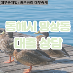 망상동대부업체 망상동비대면대출 동해시대부업체개인돈 망상동월변대부대출 망상동소액대부업체