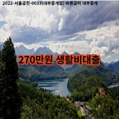 270만원 생활비대출 급전 당일 소액 일수 월변