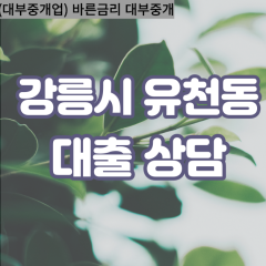 유천동대부업체 유천동비대면대출 강릉시대부업체개인돈 유천동월변대부대출 유천동소액대부업체