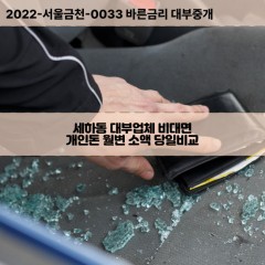 세하동대부대출 세하동비대면대출 광주서구대부업체개인돈 세하동월변대부업체 세하동소액월변대출