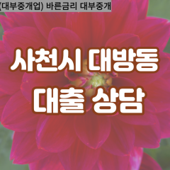 대방동대부업체 대방동비대면대출 사천시대부업체개인돈 대방동월변대부대출 대방동소액대부업체