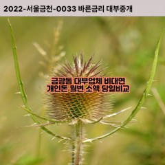 금광동대부대출 금광동비대면대출 성남시중원구대부업체개인돈 금광동월변대부업체 금광동소액월변대출