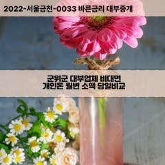 소보면대부대출 우보면비대면대출 군위군대부업체개인돈 의흥면월변대부업체 효령면소액월변대출