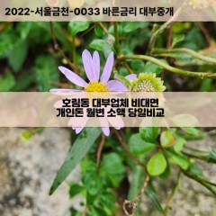 호림동대부대출 호림동비대면대출 대구달서구대부업체개인돈 호림동월변대부업체 호림동소액월변대출