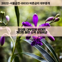 호산동대부대출 호산동비대면대출 대구달서구대부업체개인돈 호산동월변대부업체 호산동소액월변대출