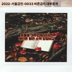 죽율동대부대출 죽율동비대면대출 시흥시대부업체개인돈 죽율동월변대부업체 죽율동소액월변대출