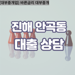 안곡동대부업체 안곡동대면대출 경상남도진해구대부업체개인돈 안곡동월변대부대출 안곡동소액대부업체