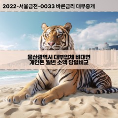 온산읍대부대출 온양읍비대면대출 울산광역시대부업체개인돈 웅촌면월변대부업체 청량읍소액월변대출